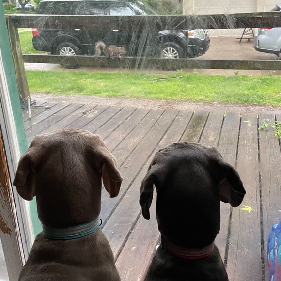 Meet your Buyer/Seller! - Picture 10 of 14